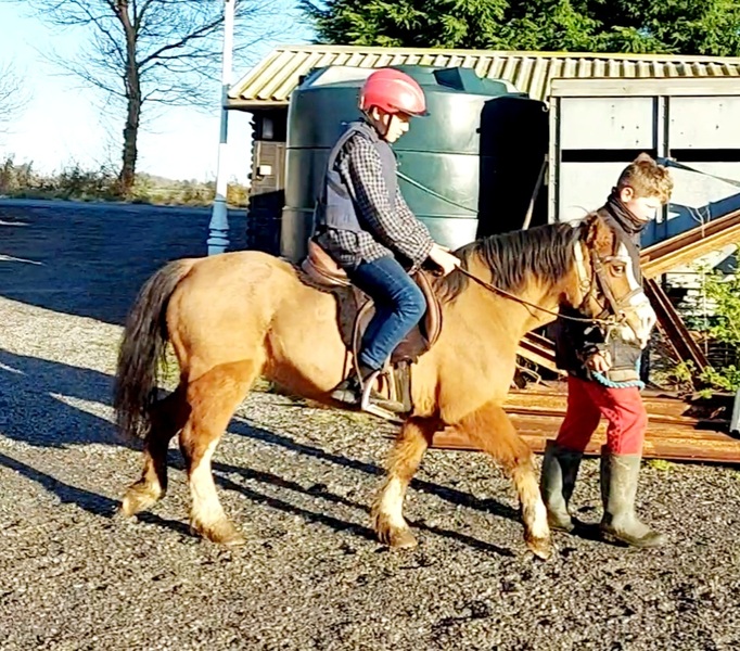 Brilliant lead rein pony For Sale in Norfolk, Eastern