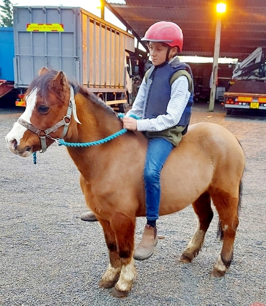 Brilliant lead rein pony For Sale in Norfolk, Eastern